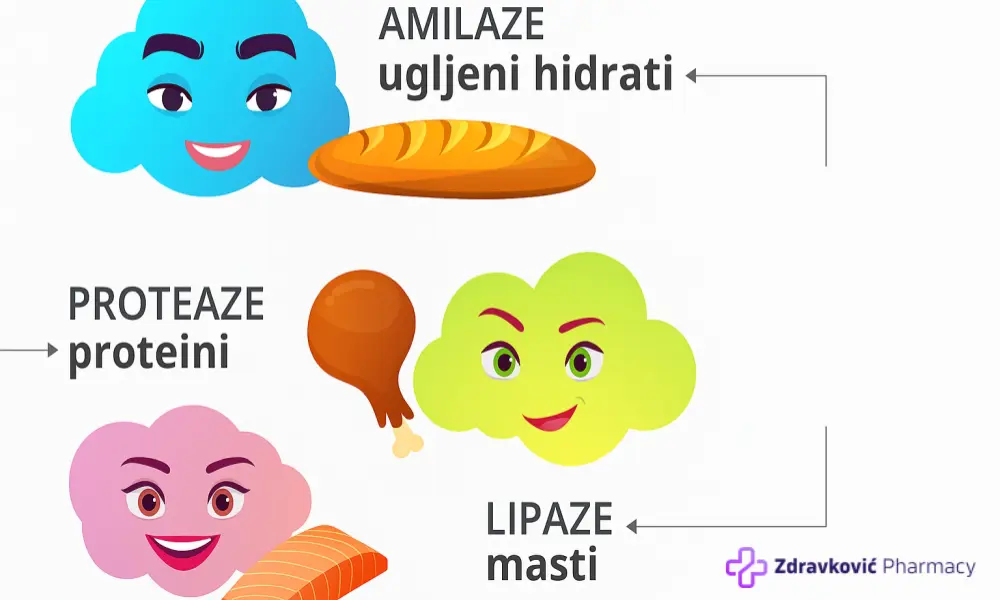 Enzimi